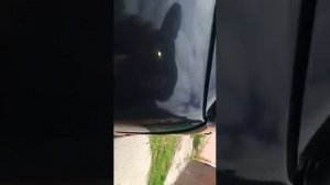 сабвуфер aria 15 в ВАЗ2112