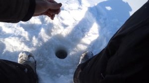 КРУПНЫЙ Окунь в феврале в СЕКРЕТНОМ месте