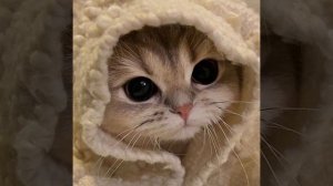 Никому не говори! 1 час🫶