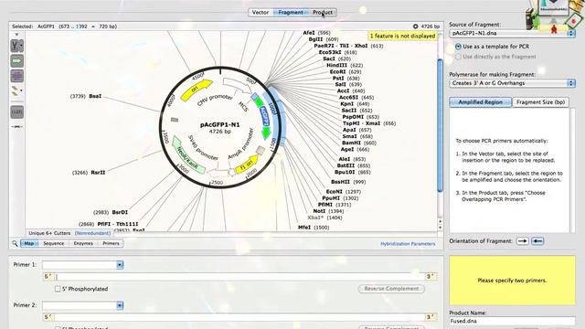 Class8: Simulate In-Fusion Cloning || SnapGene смотреть онлайн