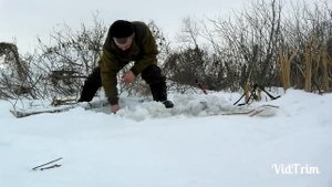 Ловля бобра петлями