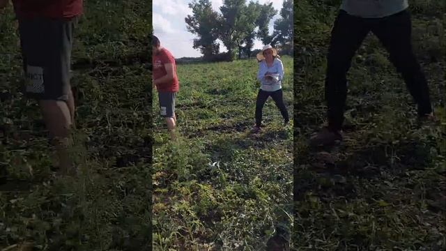 #работа #поле #дополнительныйзаработок #нашабригада