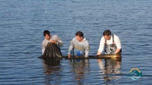 ЛОВЛЯ КАРПА БАЗА РОДНЫЕ ПРОСТОРЫ