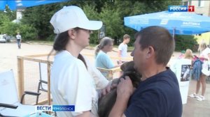 Пристроенного на выставке в Смоленске щенка бросили в лесу