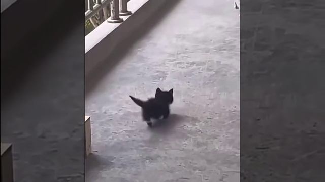 Режим 