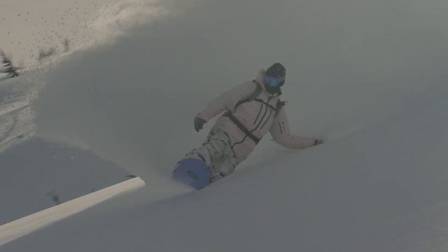 W22 Family Tree 3D Double Dog Camber Snowboard & 3D Deep Daze Flat Top Snowboard смотреть онлайн