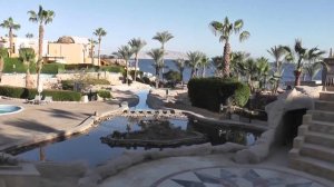 Египет 2020 отель Савой. Красное море 2020 Шарм Эль Шейх. SAVOY