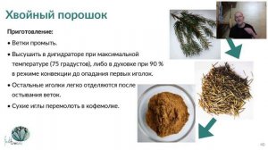 Ё-Маззай про порошок из хвои