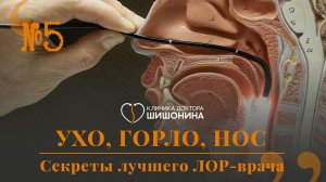 Секреты лучшего ЛОР врача! Ухо, горло, нос. Встреча доктора Шишонина и М. Г. Лейзерман