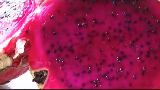 Тропические фрукты Индонезии - Драконовый фрукт (buah naga, gragon fruit) Питахайя смотреть онлайн