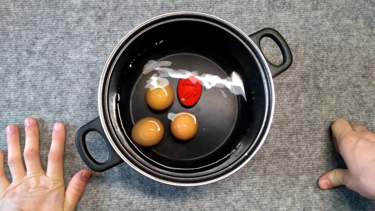 Таймер для варки яиц Egg Timer с Алиэкспресс смотреть онлайн