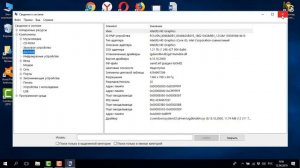 Как посмотреть видеокарту на Windows 10 на ноутбуке или компьютере