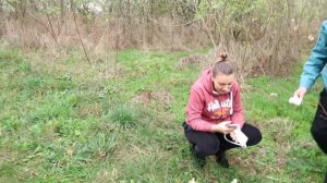 Украинское село! Как живут в селе ПЕНСИОНЕРЫ?!