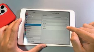 How to Jailbreak iOS 12.5.5 on iPad Mini 2 No Computer