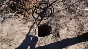 Тест глубинного металлоискателя Rex Vega в грунте на клад серебряных монет!