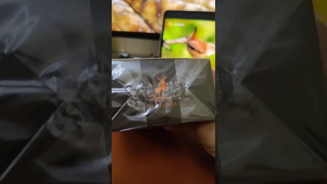 Alhambra - Toro смотреть онлайн