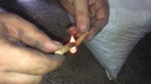 Топливная Гранула Из Тополя Что Думаете? Плюсы Минусы Ответы в Комментариях Под Виде ПОЖАЛУЙСТА