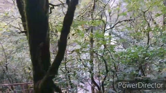 Ореховский водопад. Сочи. смотреть онлайн