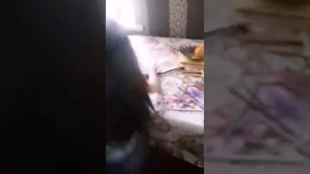 Чистюля vs Грязнуля