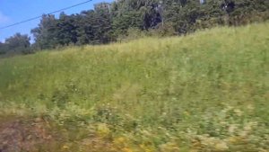 Поезд №376 Я Москва-Воркута ? Часть 5