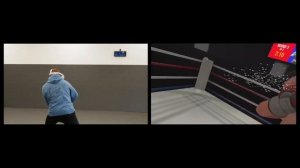 MMA Coaches Play and Review Virtual Reality Boxing Game - Thrill of the Fight