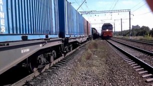 Между двух поездов на Витебском направлении пассажирский поезд и грузовой