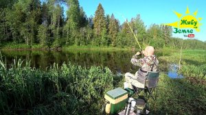 РЫБАЛКА на ДОНКУ. Еду один в реальную ДИЧЬ. Лоси ходят, РЫБА ловится.  МЕСТО просто СКАЗКА!