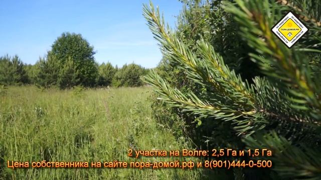 Участки на Волге от Гоши Логинова 2,5 Га и 1,5 Га
