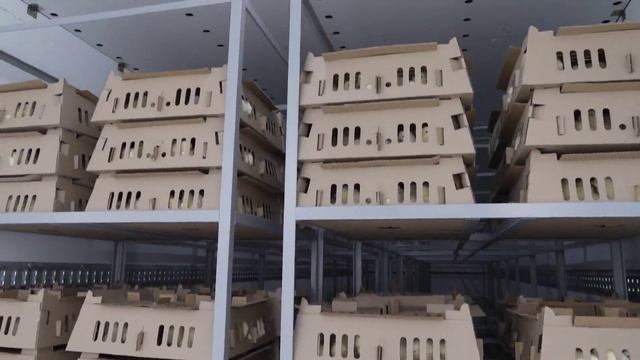 Производство