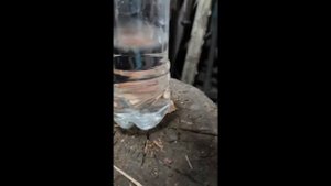 Вода замерзает от сотрясения бутылочки