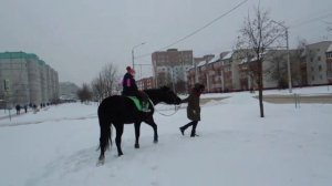 Зимушка- зима. Зимняя прогулка верхом на лошади. Верховая езда на лошади.