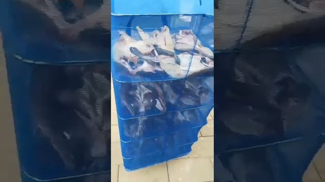 складная сушилка для овощей.