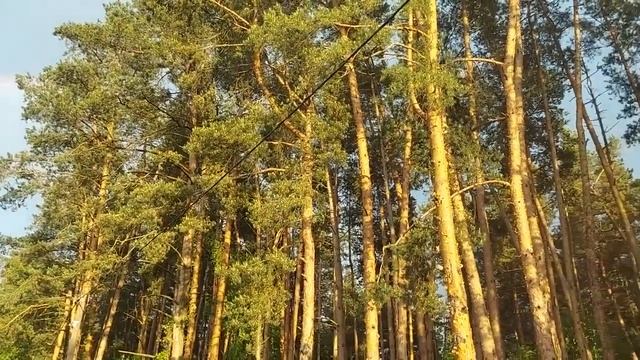 РАДУГА ЖЕЛАНИЙ  ВЕДЬМИНА ИЗБА   Ритуал Инги Хосроевой