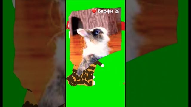 Нарисовала Баффи из анука-давай-ка ? #Баффи #Кролик #анукадавайка #кошкимышки еее #мурка #рисунок
