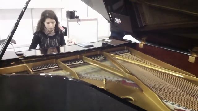 E.Morricone. Chi Mai. Cover Version