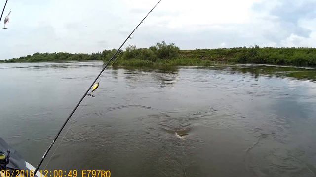 р.Мокша охота на голавля и окуня. смотреть онлайн