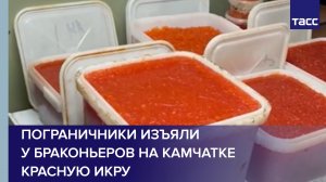 Пограничники изъяли у браконьеров на Камчатке красную икру #shorts