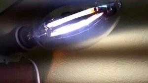 Светильник для растений ЖСП30-400 с лампой ДНаЗ 400 Агро