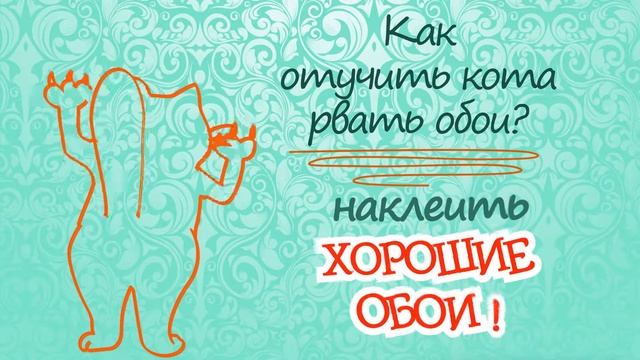 Дудл видео. Doodle video. Анимация кота. смотреть онлайн