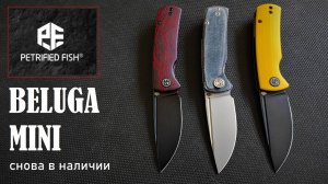 ★ MINI BELUGA все варианты СНОВА ДОСТУПНЫ