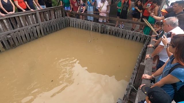 Экскурсионная рыбалка на Арапайму на Амазонке смотреть онлайн