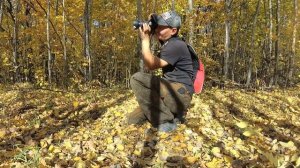 Поход с фотоаппаратом в лес.Село Грязное.Осень