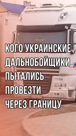 Операция не удалась: смотрите, что обнаружили в багажнике фуры, которая ехала с Украины за границу