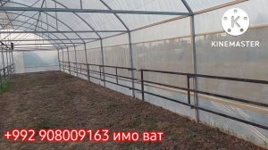 биогумус А.чоми Тепситса.