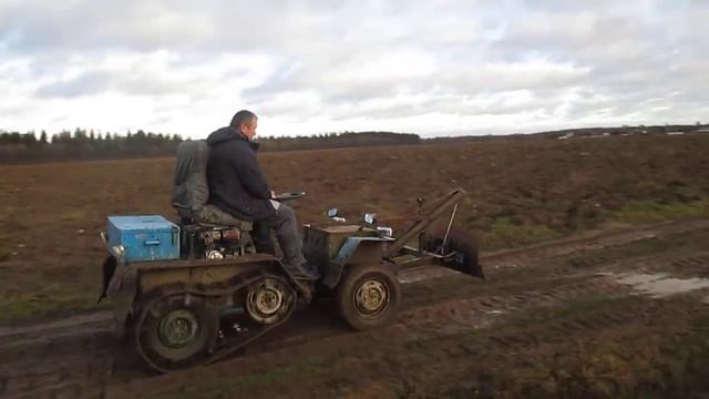 тарантул смотреть онлайн