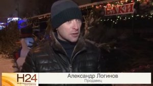 В Саратове прошел рейд по нелегальным елочным базарам