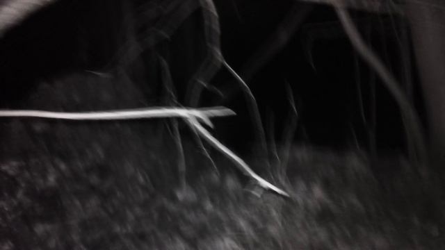 Ночной поход на геокешинговый тайник тайник Церковь на Чёрной РечкеВсехсвятская церковь