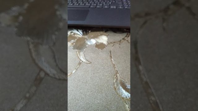 2 часть туториала/Змея из бисера на палец?✨