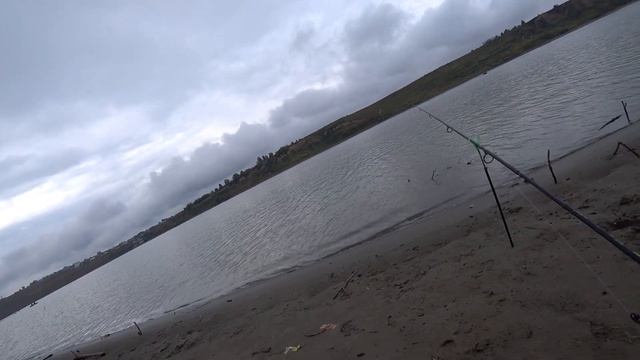 ТРУДОВАЯ РЫБАЛКА НА ДИКОГО САЗАНА В ЧЕРТЕ ГОРОДА! Рыбалка 2020.Сазан,карась,окунь,лещ. смотреть онлайн