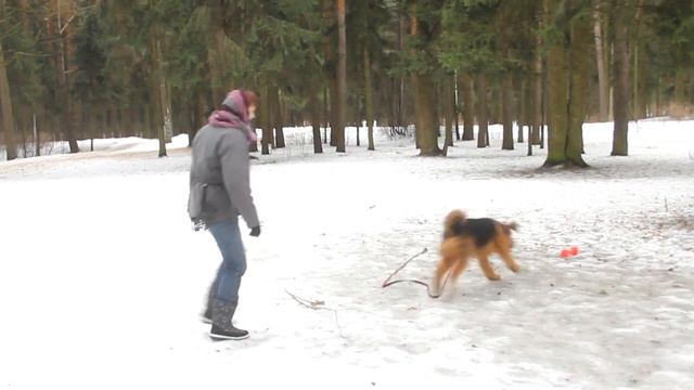 Как мы с Яшичем учились рядовости:-) смотреть онлайн